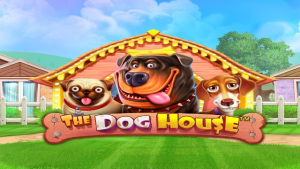 Menang Bermain Judi Slot