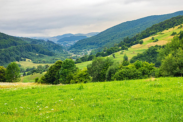 ceriabet slot, ceriabet login, link ceriabet, ceriabet online, slot gacor